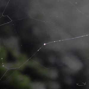 madison(feat. prodbyIOF)(slowed & reverb)