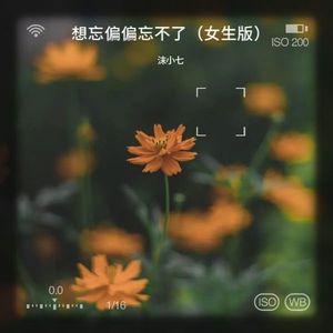 想忘偏偏忘不了