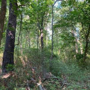 Adventure Time (Explicit)