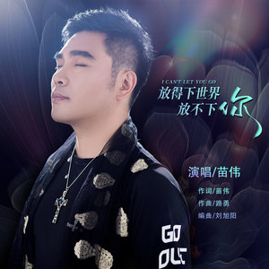时间:2021-06-10 歌词 放得下世界放不下你 - 苗伟  词:苗伟  曲:路勇