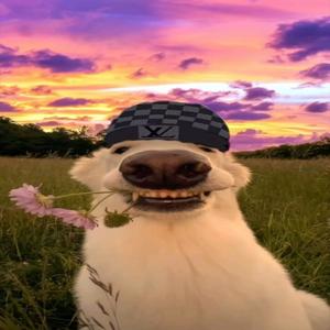 Mtg joga a xeriquinha moça (Explicit)