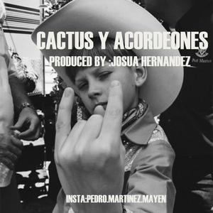 Cactus y acordeones
