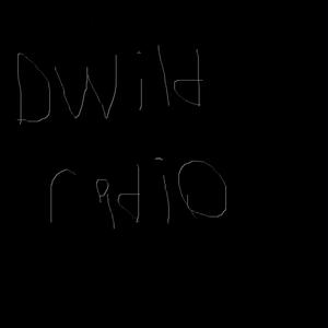 DWildradio Mixes, Vol. 1