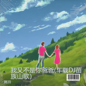 我又不是你爸爸 车载Dj苗族山歌