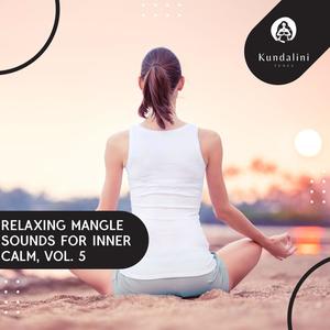 Meditation Flute (Original Mix)