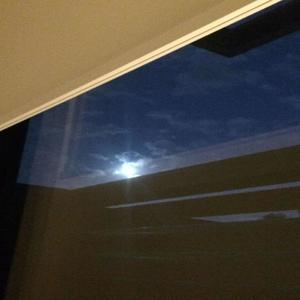 manslaughtr (Explicit)