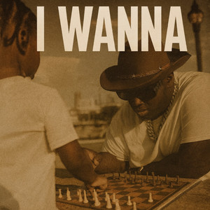 I Wanna (Explicit)
