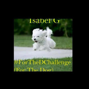 #ForTheDChallenge (For The Dog)