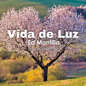 Vida De Luz (Instrumental)