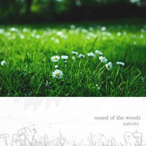 Sound of the Woods