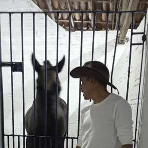 Fernando Carvalho - Blessine Around