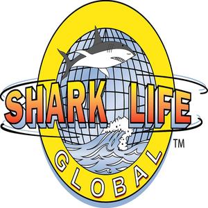 Some Mo(feat. Richie P) (Explicit)