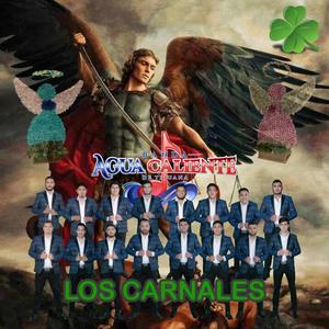 Los Carnales