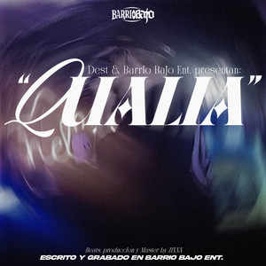 Qualia (Explicit)