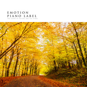 가을 숲에서 감상하는 자연의 소리와 피아노 (The Sound Of Nature And The Piano)