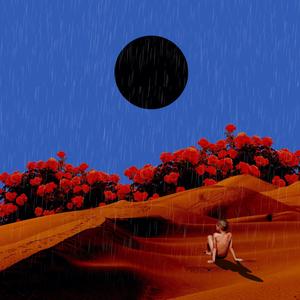 SoulFloppii - 雨中曲