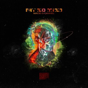 Pay No Mind (Explicit)