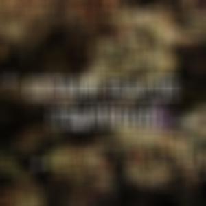 GET SOME (feat. STAYDEAD) (Explicit)