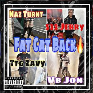 Fat Cat Back (feat. Naz Turnt, 532 Jerry, Ttg Zavy & Jon Turnt) [Explicit]