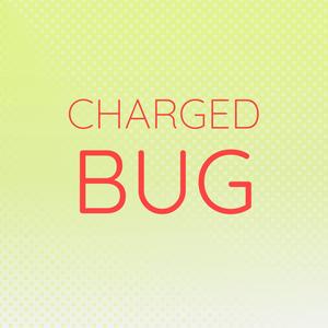 Charged Bug