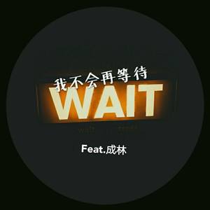 我不会在等待（Feat.成林）