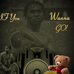 If You Wanna Go