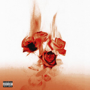 ROSE (Explicit)