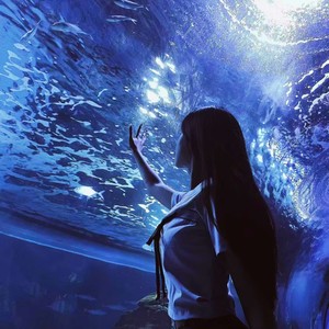 海洋之心 (花雨卿 remix)