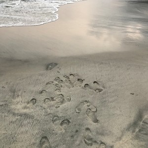 永远爱着你 (Live)