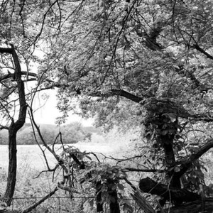 September When It Comes