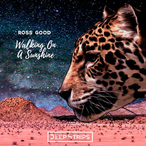 Walking On A Sunshine (Pilot Bg Remix)