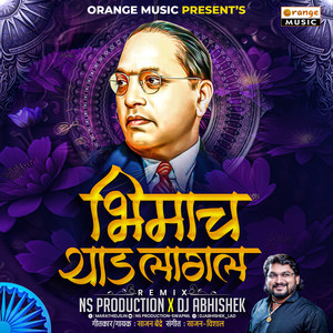 Bhimach Yaad Lagal (DJ Remix)