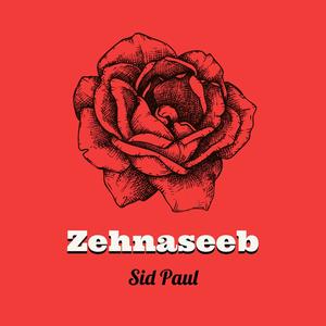 Zehnaseeb