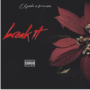 Break it (feat. fuccnexus) (Explicit)