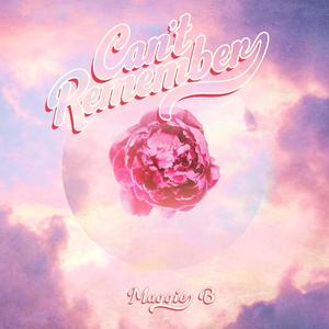 Can't Remember(When) (Explicit)