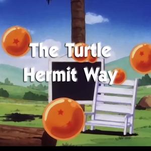 Turtle Hermit (Explicit)