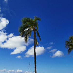 珍惜在一起的时光