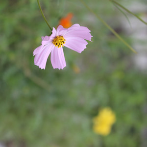 最难理解 - 空寂 (Live)