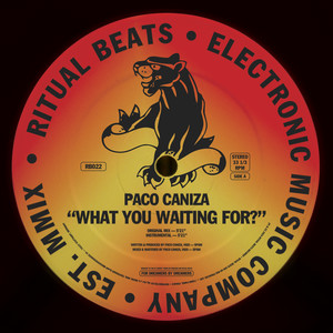 What You Waiting For? (Instrumental)