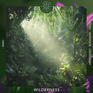 Into the Woods (Bodaishin Remix)