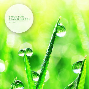 꽃밭에 날라온 나비 (Butterfly On Flower Field) (Nature Ver.)