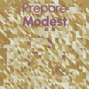 Prepare Modest