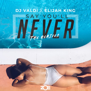 Say You'll Never (Alex Guerrero Remix)