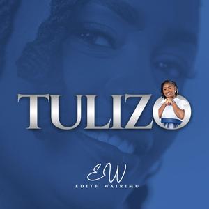 Tulizo (feat. Nanginya Naspan, Sheddy Shadrack & P149)