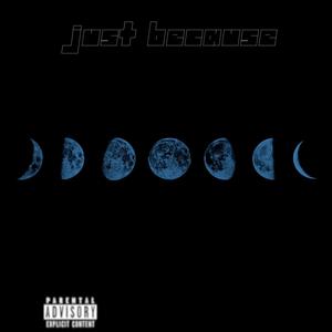 JUST BECAUSE! (Explicit)