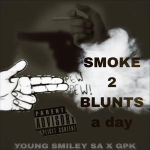 SMOKE 2 BLUNTS A DAY (feat. KUNG FU T & TK) [Explicit]