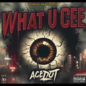 What U Cee (feat. Ace Dot) (Explicit)