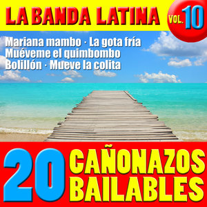 20 Temazos Bailables Vol. 10