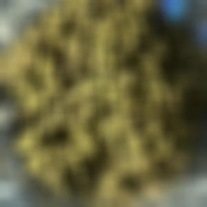 Playzz (feat. Kutt) (Explicit)