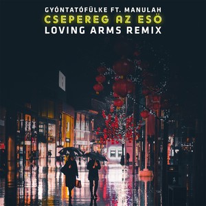 Csepereg az eső (Joe Slash Remix)